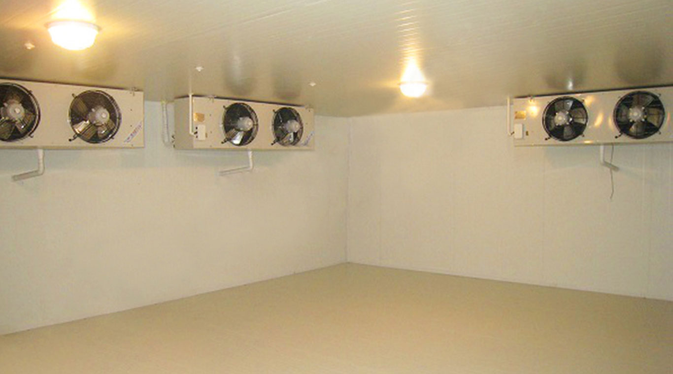 Subzero ice storage room