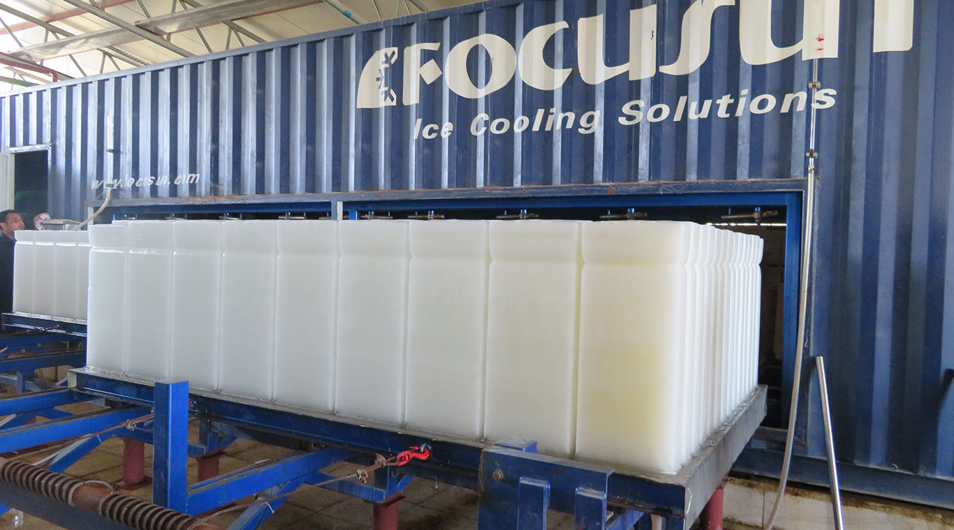 Focusun 20T containerized direct block ice machine